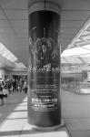 ���U���ʐ^�A���o�� 2010.03.14Yokohama Ikon Summicron35mmF2 ACROS100 032 2010.03.14-22 ���l�E�H�c �Vf Summicron35/2 ACROS100 D76 1:1