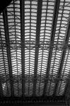 ���U���ʐ^�A���o�� 2010.03.14Yokohama Ikon Summicron35mmF2 ACROS100 040 2010.03.14-22 ���l�E�H�c �Vf Summicron35/2 ACROS100 D76 1:1