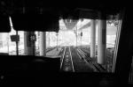 ���U���ʐ^�A���o�� 2010.03.14Yokohama Ikon Summicron35mmF2 ACROS100 049 2010.03.14-22 ���l�E�H�c �Vf Summicron35/2 ACROS100 D76 1:1