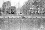 ���U���ʐ^�A���o�� 2010.03.21Yokohama Ikon Summicron35mmF2 ACROS100 062 2010.03.14-22 ���l�E�H�c �Vf Summicron35/2 ACROS100 D76 1:1