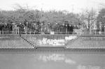���U���ʐ^�A���o�� 2010.03.21Yokohama Ikon Summicron35mmF2 ACROS100 063 2010.03.14-22 ���l�E�H�c �Vf Summicron35/2 ACROS100 D76 1:1