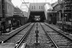 ���U���ʐ^�A���o�� 2010.03.21Yokohama Ikon Summicron35mmF2 ACROS100 083 2010.03.14-22 ���l�E�H�c �Vf Summicron35/2 ACROS100 D76 1:1