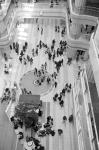 ���U���ʐ^�A���o�� 2010.03.22Haneda Ikon Summicron35mmF2 ACROS100 099 2010.03.14-22 ���l�E�H�c �Vf Summicron35/2 ACROS100 D76 1:1