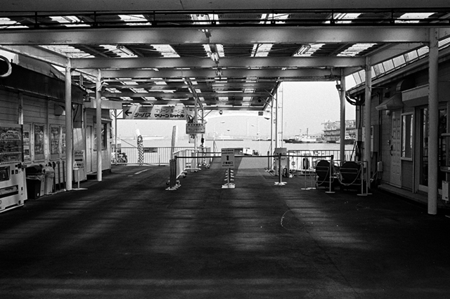 ���U���ʐ^�A���o�� f-2010.04.12Yokohama-Ikon-Summicron35mmF2-400TX-028.jpg 2010.04.12<BR>���l<BR>IKON Summicron35/2<BR>400TX D76 1:1