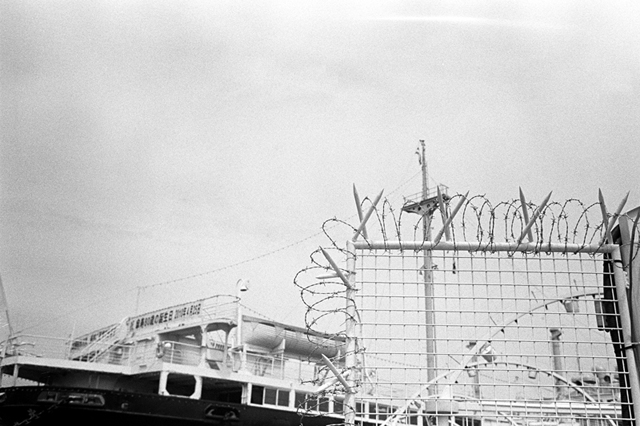 ���U���ʐ^�A���o�� f-2010.04.12Yokohama-Ikon-Summicron35mmF2-400TX-029.jpg 2010.04.12<BR>���l<BR>IKON Summicron35/2<BR>400TX D76 1:1
