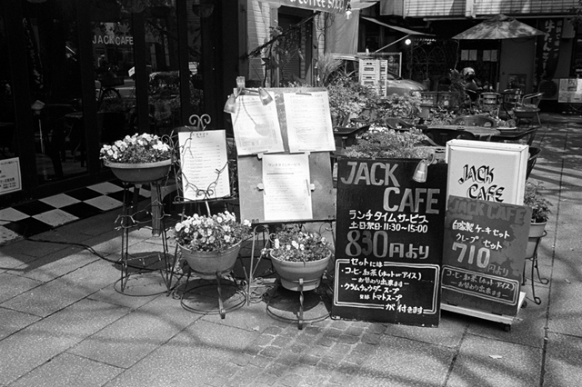 ���U���ʐ^�A���o�� f-2010.04.12Yokohama-Ikon-Summicron35mmF2-400TX-034.jpg 2010.04.12<BR>���l<BR>IKON Summicron35/2<BR>400TX D76 1:1