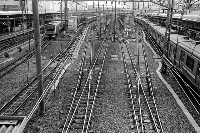 ���U���ʐ^�A���o�� f-2010.04.12Yokohama-Ikon-Summicron35mmF2-400TX-036.jpg 2010.04.12<BR>���l<BR>IKON Summicron35/2<BR>400TX D76 1:1