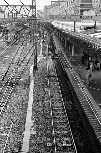 ���U���ʐ^�A���o�� f-2010.04.12Yokohama-Ikon-Summicron35mmF2-400TX-037.jpg 2010.04.12<BR>���l<BR>IKON Summicron35/2<BR>400TX D76 1:1