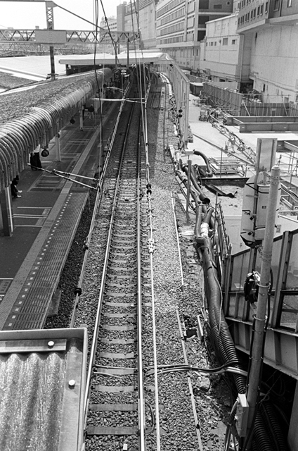 ���U���ʐ^�A���o�� f-2010.04.12Yokohama-Ikon-Summicron35mmF2-400TX-039.jpg 2010.04.12<BR>���l<BR>IKON Summicron35/2<BR>400TX D76 1:1