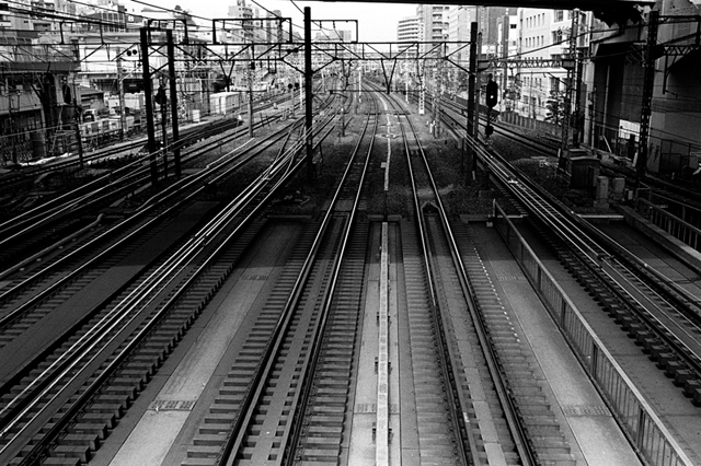 ���U���ʐ^�A���o�� f-2010.04.12Yokohama-Ikon-Summicron35mmF2-400TX-040.jpg 2010.04.12<BR>���l<BR>IKON Summicron35/2<BR>400TX D76 1:1