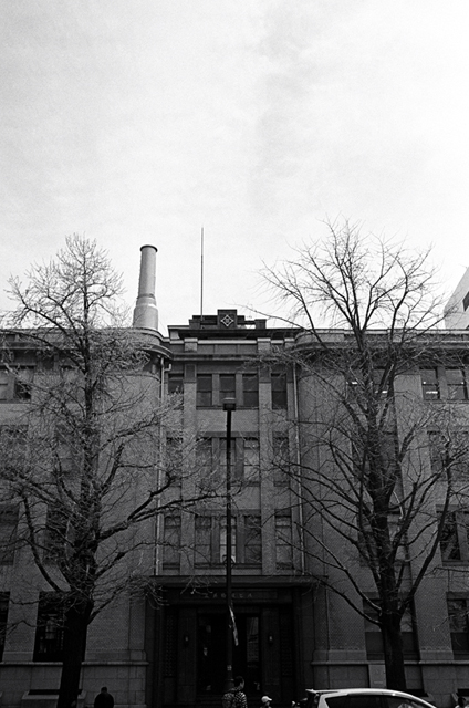 ���U���ʐ^�A���o�� f-2010.04.18Yokohama-Ikon-Biogon35mmF2.8-Y2-400TX-338.jpg 2010.04.18<BR>���l<BR>IKON Biogon35/2.8<BR>Y2 400TX D76 1:1