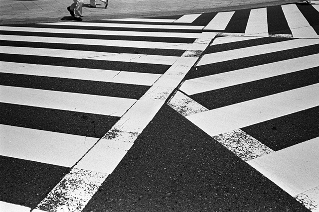 ���U���ʐ^�A���o�� f-2010.04.18Yokohama-Ikon-Biogon35mmF2.8-Y2-400TX-339.jpg 2010.04.18<BR>���l<BR>IKON Biogon35/2.8<BR>Y2 400TX D76 1:1