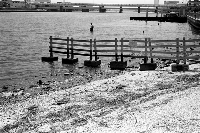 ���U���ʐ^�A���o�� f-2010.04.25Tsurumi-Namamugi-Ikon-Biogon35mmF2.8-ACROS100-042.jpg 2010.04.25<BR>�ߌ��E����<BR>IKON Biogon35/2.8<BR>ACROS100 D76 1:1