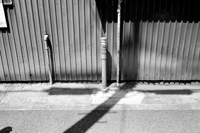 ���U���ʐ^�A���o�� f-2010.04.25Tsurumi-Namamugi-Ikon-Biogon35mmF2.8-ACROS100-045.jpg 2010.04.25<BR>�ߌ��E����<BR>IKON Biogon35/2.8<BR>ACROS100 D76 1:1