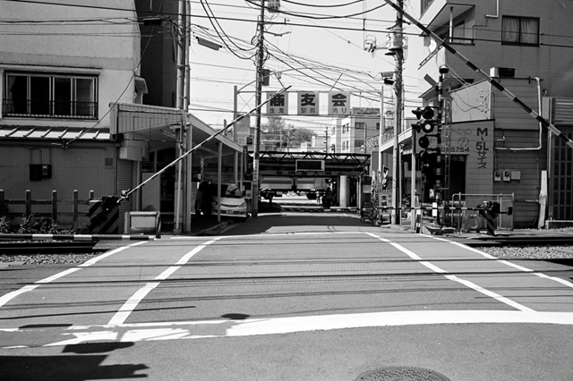���U���ʐ^�A���o�� f-2010.04.25Tsurumi-Namamugi-Ikon-Biogon35mmF2.8-ACROS100-052.jpg 2010.04.25<BR>�ߌ��E����<BR>IKON Biogon35/2.8<BR>ACROS100 D76 1:1