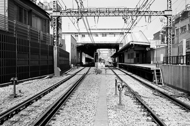 ���U���ʐ^�A���o�� f-2010.04.25Tsurumi-Namamugi-Ikon-Biogon35mmF2.8-ACROS100-053.jpg 2010.04.25<BR>�ߌ��E����<BR>IKON Biogon35/2.8<BR>ACROS100 D76 1:1