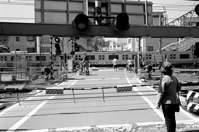 ���U���ʐ^�A���o�� f-2010.04.25Tsurumi-Namamugi-Ikon-Biogon35mmF2.8-ACROS100-055.jpg 2010.04.25<BR>�ߌ��E����<BR>IKON Biogon35/2.8<BR>ACROS100 D76 1:1