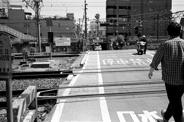 ���U���ʐ^�A���o�� f-2010.04.25Tsurumi-Namamugi-Ikon-Biogon35mmF2.8-ACROS100-056.jpg 2010.04.25<BR>�ߌ��E����<BR>IKON Biogon35/2.8<BR>ACROS100 D76 1:1