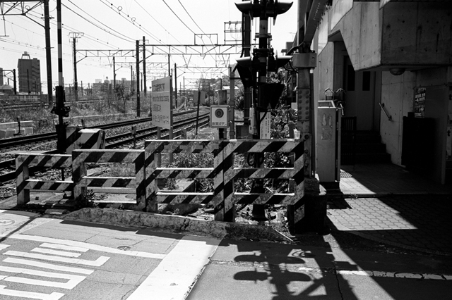 ���U���ʐ^�A���o�� f-2010.04.25Tsurumi-Namamugi-Ikon-Biogon35mmF2.8-ACROS100-057.jpg 2010.04.25<BR>�ߌ��E����<BR>IKON Biogon35/2.8<BR>ACROS100 D76 1:1