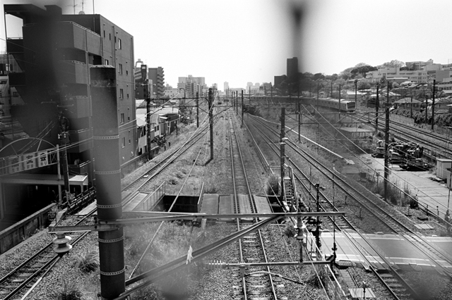 ���U���ʐ^�A���o�� f-2010.04.25Tsurumi-Namamugi-Ikon-Biogon35mmF2.8-ACROS100-058.jpg 2010.04.25<BR>�ߌ��E����<BR>IKON Biogon35/2.8<BR>ACROS100 D76 1:1