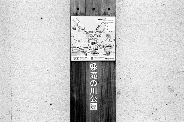 ���U���ʐ^�A���o�� f-2010.05.04Koyasu-Kanagawa-Ikon-Biogon35mmF2.8-ACROS100-108.jpg 2010.05.02-04<BR>�ߌ��E���E�q���E�_�ސ�<BR>IKON Biogon35/2.8<BR>ACROS100 D76 1:1
