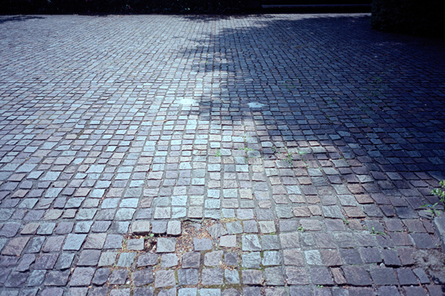 ���U���ʐ^�A���o�� f-2010.06.06Yamate-Ikon-GR28mmF2.8-Ektar100-016.jpg 2010.06.06<BR>�R��<BR>IKON GR28/2.8<BR>Ektar100