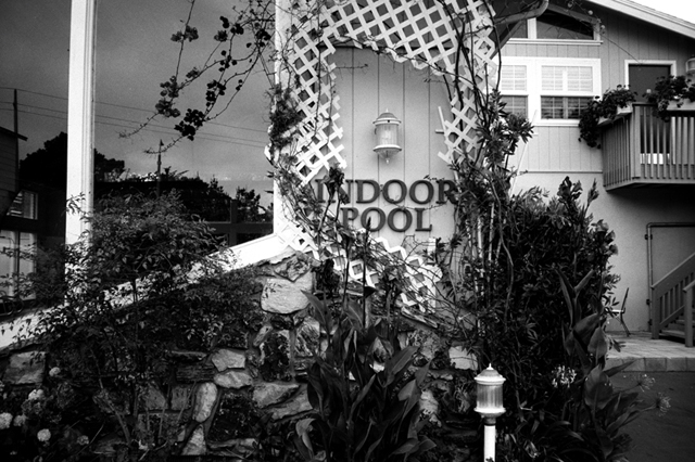 ���U���ʐ^�A���o�� f-2010.09.13-09.19Monterey-T3-400TX-029.jpg 2010.09.13-19<BR>�����g���[<BR>T3 400TX D76 1:1