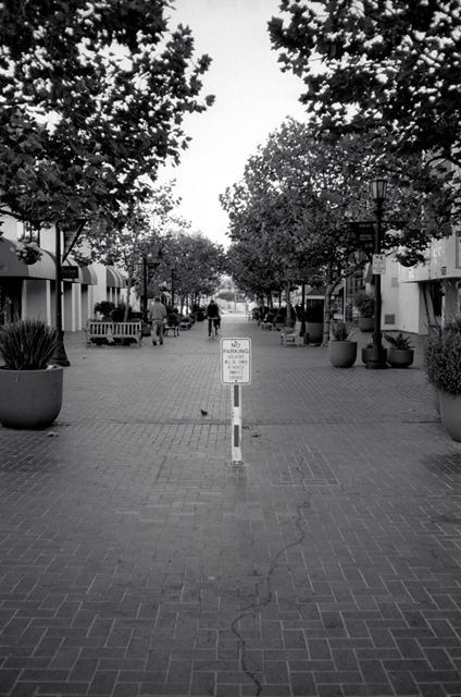 ���U���ʐ^�A���o�� f-2010.09.13-09.19Monterey-T3-400TX-035.jpg 2010.09.13-19<BR>�����g���[<BR>T3 400TX D76 1:1