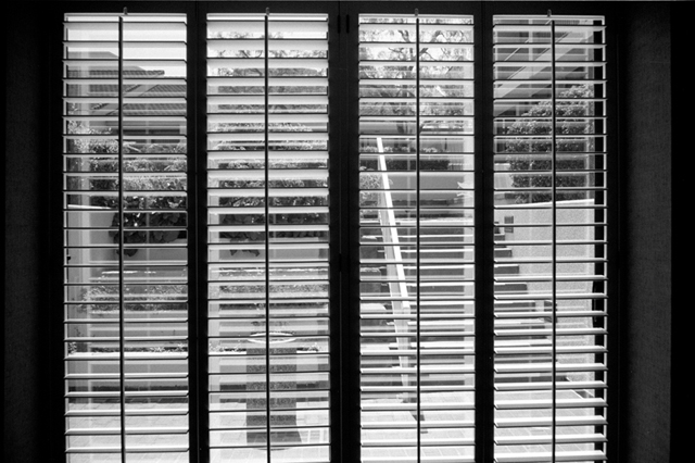 ���U���ʐ^�A���o�� f-2010.09.13-09.19Monterey-T3-400TX-047.jpg 2010.09.13-19<BR>�����g���[<BR>T3 400TX D76 1:1