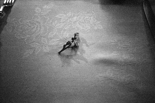 ���U���ʐ^�A���o�� f-2011.02.11Yokohama-T3-400TX-2steps-007.jpg 2011.02.11<BR>���l<BR>T3 400TX D76 1:1