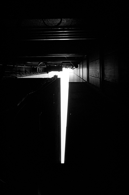 ���U���ʐ^�A���o�� f-2011.02.26Ginza-Ikon-Summicron35mmF2-400TX-034.jpg 2011.02.26<BR>���<BR>IKON Summicron35/2<BR>400TX D76 1:1