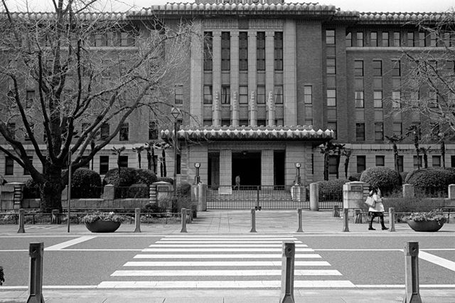 ���U���ʐ^�A���o�� f-2011.03.06Yokohama-Ikon-Summicron35mmF2-400TX-012.jpg 2011.03.06<BR>���l<BR>IKON Summicron35/2<BR>400TX D76 1:1