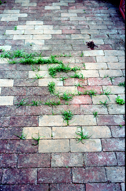 ���U���ʐ^�A���o�� f-2011.04.29Ie-Ikon-NOKTON35mmF1.2-EKTAR100-012.jpg 2011.04.29<BR>��<BR>IKON NOKTON35/1.2<BR>Ektar100