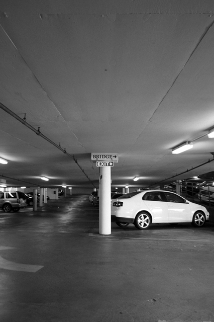 ���U���ʐ^�A���o�� f-2011.09.19-24Monterey-GRD3-028-694.jpg 2011.09.19-24<BR>�����g���[<BR>GRD4