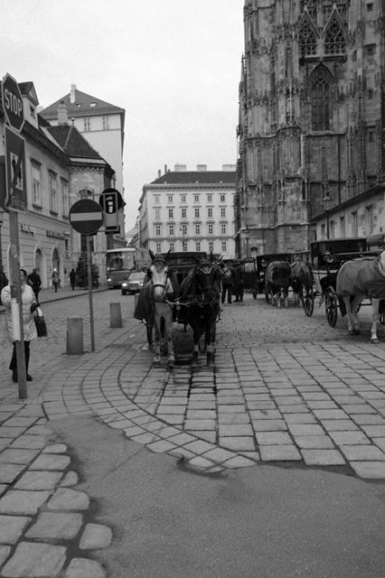 ���U���ʐ^�A���o�� f-2013.01.07~11-VIENNA-GRD4-228.jpg 2013.01.07-11<BR>�E�B�[��<BR>GRD4