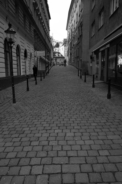 ���U���ʐ^�A���o�� f-2013.01.07~11-VIENNA-GRD4-266.jpg 2013.01.07-11<BR>�E�B�[��<BR>GRD4