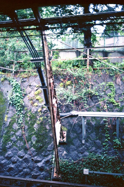 ���U���ʐ^�A���o�� f-2013.06.16Tokyo-M4-Summicron35mmF2-Ektar100-01.jpg 2013.06.16<BR>����<BR>M4 Summicron35/2<BR>Ektar100