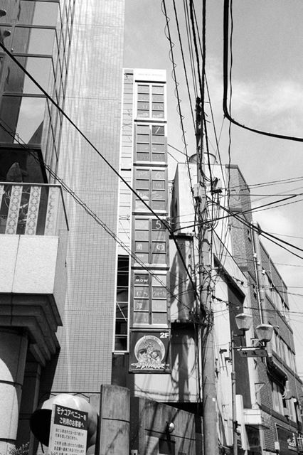 ���U���ʐ^�A���o�� f-2013.06.23Yokohama-M4-Summaron35mmF3.5-BW400CN-051.jpg 2013.06.23<BR>���l<BR>M4 Summaron35/3.5<BR>BW400CN