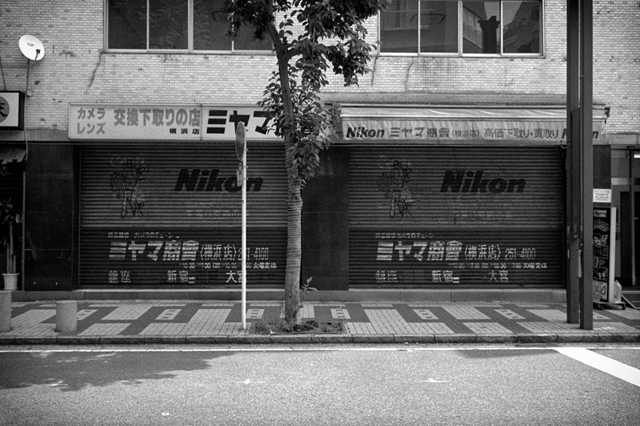���U���ʐ^�A���o�� f-2013.06.29Yokohama-Summaron35mmF3.5-BW400CN-33.jpg 2013.06.29<BR>���l<BR>IKON Summaron35/3.5<BR>BW400CN