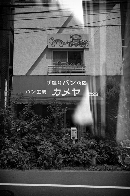 ���U���ʐ^�A���o�� f-2013.06.29Yokohama-Summaron35mmF3.5-BW400CN-42.jpg 2013.06.29<BR>���l<BR>IKON Summaron35/3.5<BR>BW400CN