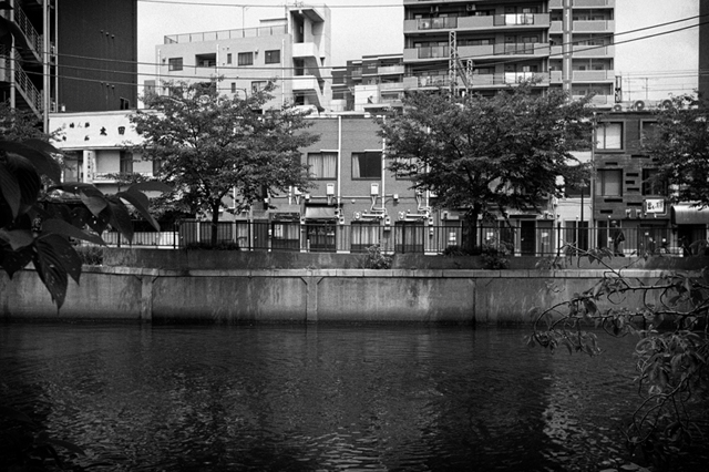 ���U���ʐ^�A���o�� f-2013.06.29Yokohama-Summaron35mmF3.5-BW400CN-43.jpg 2013.06.29<BR>���l<BR>IKON Summaron35/3.5<BR>BW400CN