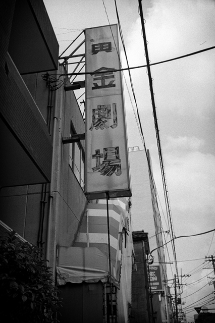 ���U���ʐ^�A���o�� f-2013.06.29Yokohama-Summaron35mmF3.5-BW400CN-44.jpg 2013.06.29<BR>���l<BR>IKON Summaron35/3.5<BR>BW400CN