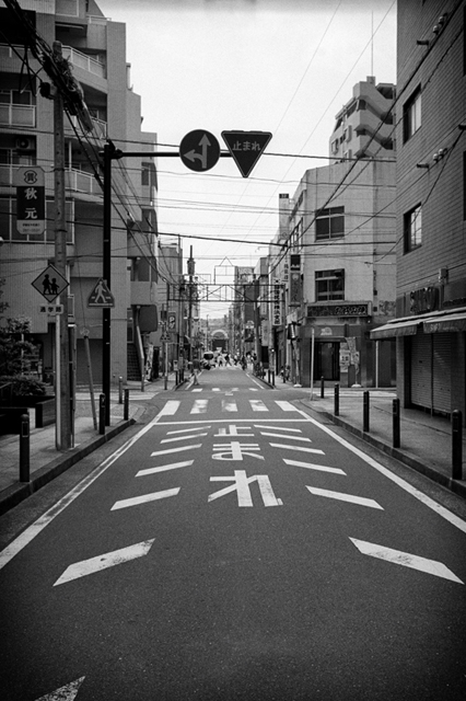 ���U���ʐ^�A���o�� f-2013.06.29Yokohama-Summaron35mmF3.5-BW400CN-45.jpg 2013.06.29<BR>���l<BR>IKON Summaron35/3.5<BR>BW400CN