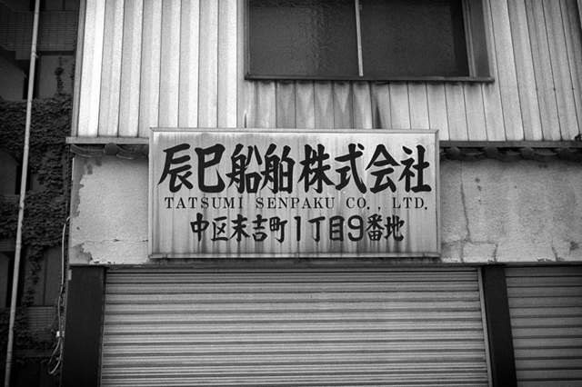 ���U���ʐ^�A���o�� f-2013.06.29Yokohama-Summaron35mmF3.5-BW400CN-48.jpg 2013.06.29<BR>���l<BR>IKON Summaron35/3.5<BR>BW400CN
