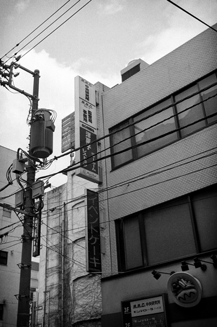 ���U���ʐ^�A���o�� f-2013.06.29Yokohama-Summaron35mmF3.5-BW400CN-49.jpg 2013.06.29<BR>���l<BR>IKON Summaron35/3.5<BR>BW400CN