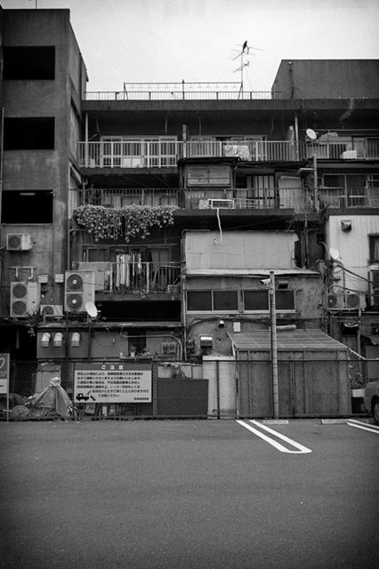 ���U���ʐ^�A���o�� f-2013.06.29Yokohama-Summaron35mmF3.5-BW400CN-54.jpg 2013.06.29<BR>���l<BR>IKON Summaron35/3.5<BR>BW400CN