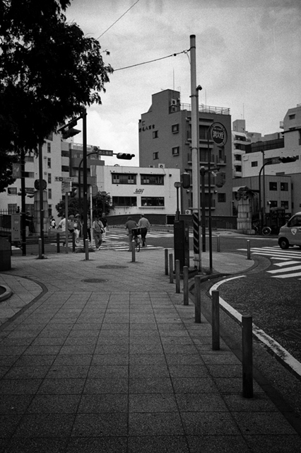 ���U���ʐ^�A���o�� f-2013.06.29Yokohama-Summaron35mmF3.5-BW400CN-57.jpg 2013.06.29<BR>���l<BR>IKON Summaron35/3.5<BR>BW400CN