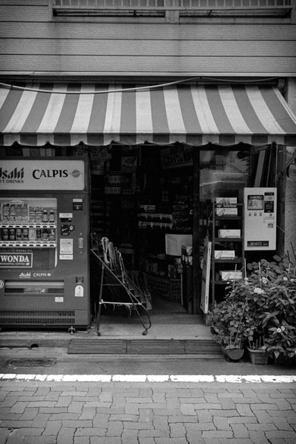 ���U���ʐ^�A���o�� f-2013.06.29Yokohama-Summaron35mmF3.5-BW400CN-58.jpg 2013.06.29<BR>���l<BR>IKON Summaron35/3.5<BR>BW400CN