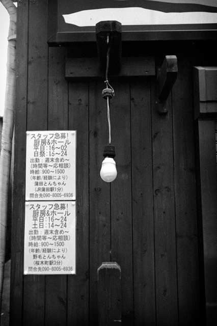 ���U���ʐ^�A���o�� f-2013.06.29Yokohama-Summaron35mmF3.5-BW400CN-60.jpg 2013.06.29<BR>���l<BR>IKON Summaron35/3.5<BR>BW400CN