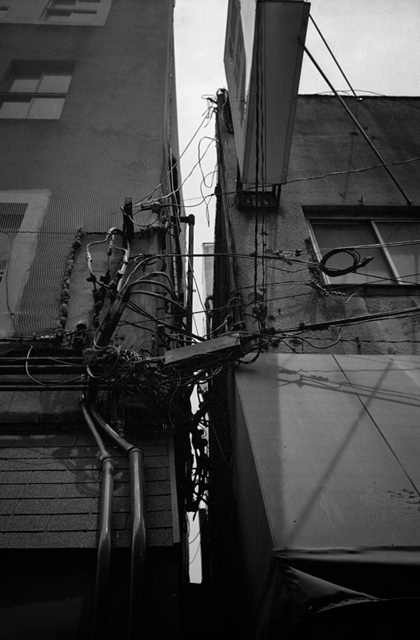 ���U���ʐ^�A���o�� f-2013.06.30Yokohama-Ikon-Summaron35mmF3.5-BW400CN-25.jpg 2013.06.30<BR>���l<BR>IKON Summaron35/3.5<BR>BW400CN